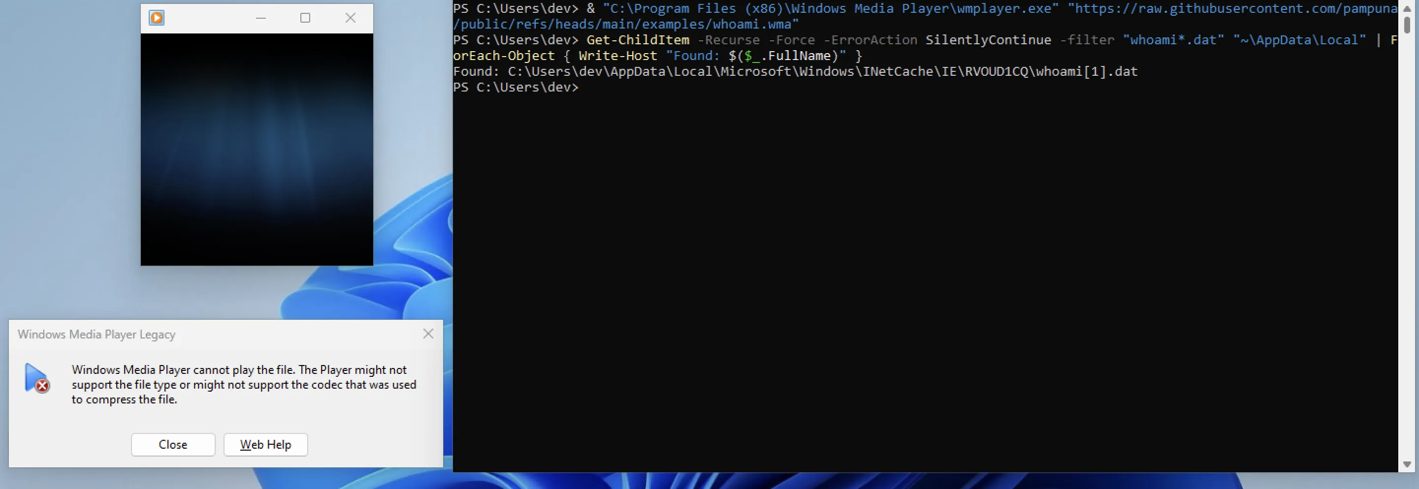 download_using_wmplayer