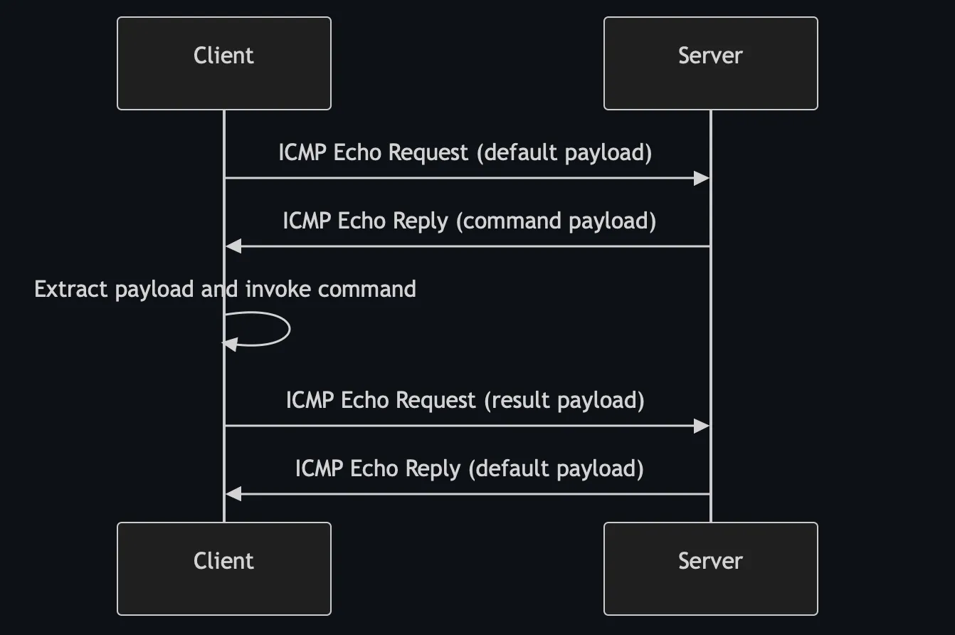 Visualizing the ICMP flow