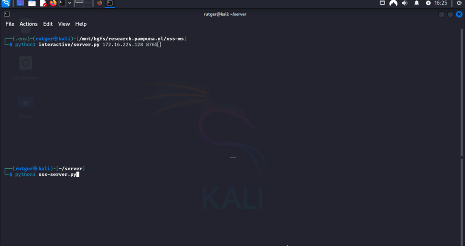 Demonstrating the WebSocket CLI