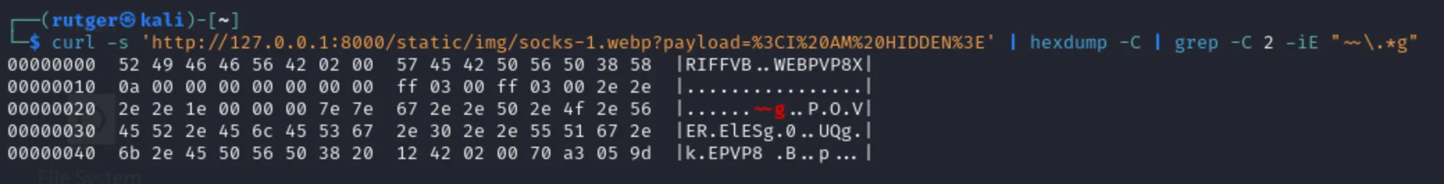 Image of the applied obfuscation methods