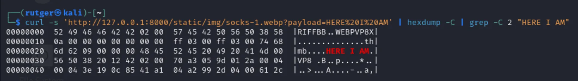 Fetching and hexdumping the hidden data
